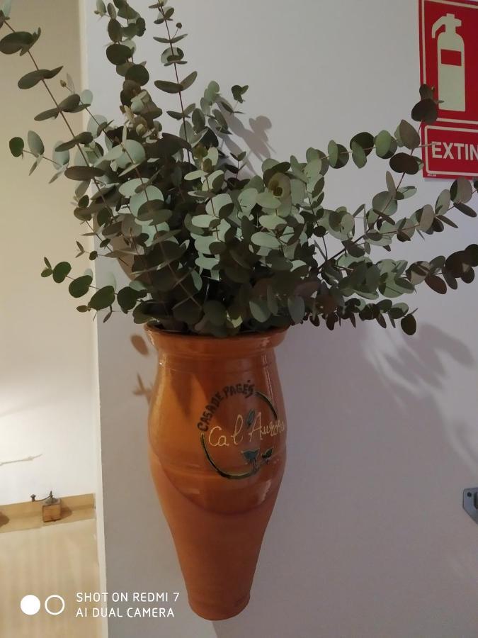 Appartamento Ca L'Aurora Bot Esterno foto